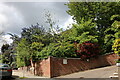 TQ2685 : Garden on Lindfield Gardens, Hampstead by David Howard