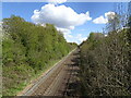 Rail Bridge View