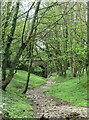 Waterfall Beck and bridge