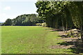 Footpath along field boundary