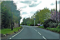 Green Lane, towards Latchingdon