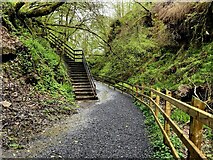 H2774 : Path and steps along Sloughan Glen Walk by Kenneth  Allen