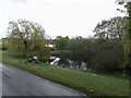 Village pond at Fimber