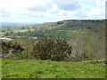 Valley east of Culmstock