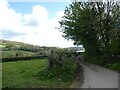 Road near Goodall