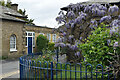 Wisteria and lodges, Beckenham Place Park