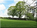 Quaker burial ground above Hardcastle Garth