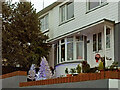 Christmassy trees, Brixham