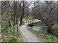 Footbridge over small stream