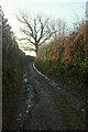 Lane to High Beara