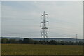 Pylon, Taunton Deane