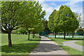 Path and trees at Fairy Hill Park