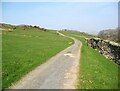 SD2785 : The old road from Gawthwaite to Gawthwaite Land by Adrian Taylor
