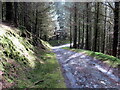 Hen heol i Lanfynydd / Old road to Llanfynydd