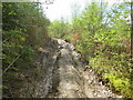 Hen heol i Lanfynydd / Old road to Llanfynydd