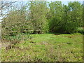 A small pond on Besom Lane