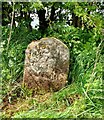 Old Boundary Marker on the boundary of Ellebrbeck and East Harlsey parishes, Hambleton district