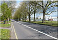 A441 Pershore Road in Edgbaston, Birmingham