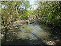 Small pond on Wapley Common