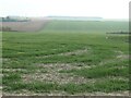 View across Infield Fall to Townbyres Bottom