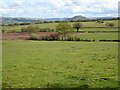 View to Allt yr Esgair