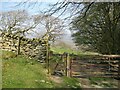 SD2785 : Gate on The Cumbria Way by Adrian Taylor