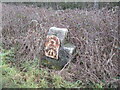 Milestone  on  A164  at  Leckonfield