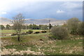 Grass Field and Bushes, Carsphairn