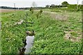 Westley: River Linnet from the road bridge crossing it