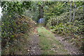 Footpath close to Sewage works