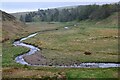 NT1354 : The Lyne Water near Baddinsgill by Jim Barton