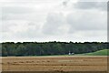 Lackford: Field and a handy grass covered reservoir