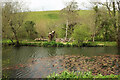 Pond, Well Barn Farm