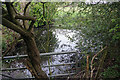 Pond at Blythe Bridge