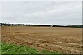 Fornham All Saints: Ploughed field