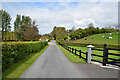 Kilcootry Road, Kilcootry