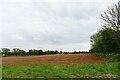 Gazeley: Ploughed field