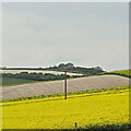 TQ0809 : Fields on the southern slopes of Harrow Hill - view WNW by Ian Cunliffe