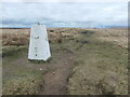 SD9913 : White trig point, on the county boundary at White Hill by Christine Johnstone