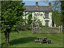 SO8483 : Beer garden by The Vine in Dunsley, Staffordshire by Roger  D Kidd