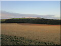 Field north of Inverbervie