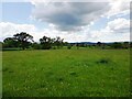 Looking towards Middle Lightwood Farm from Ankerdine Road