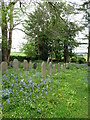 Quaker [Friends] burial ground, Scotton