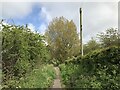 Path at Low Newbiggin