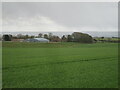 SE9085 : Malton  Cote  Farm  over  Scamridge  Slack by Martin Dawes