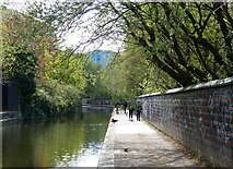 SP0686 : Towpath along the Worcester and Birmingham Canal by Mat Fascione