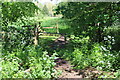 Gate to parkland near Clockbarn Cottage