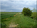 Public footpath Bradwell-on-Sea 1