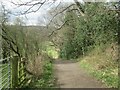 Footpath towards Blackhall Mill