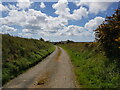 Lane to Trefochlyd Farm